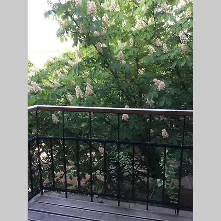 Huge Loft In Heart Of Apartament Tallin